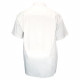 Fashion shirt