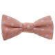 Noeud papillon DANDY Andrew Mc Allister VPAP-FANT22